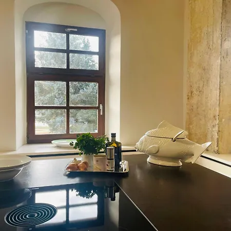 Studio-apartment Im Weinberg *