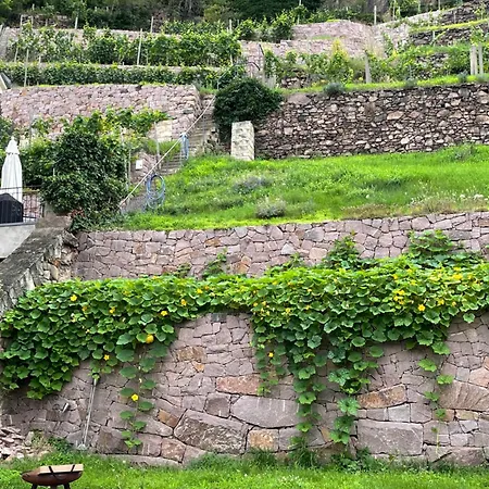 Studio-apartment Im Weinberg * Meißen