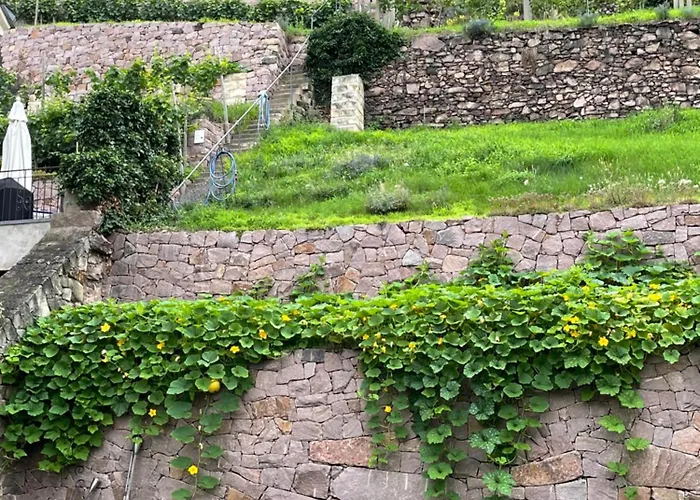 Studio-apartment Im Weinberg * Meissen