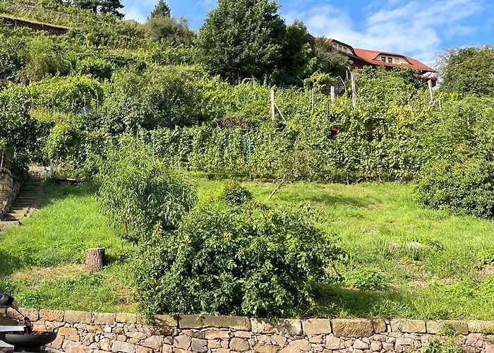 Studio-apartment Im Weinberg Apartment Meissen